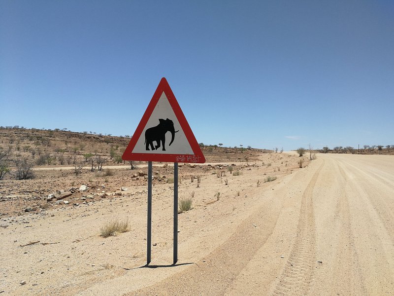 local-travel-namibia-car-rental-elephant-crossing-sign